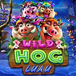 Wild Hog Luau